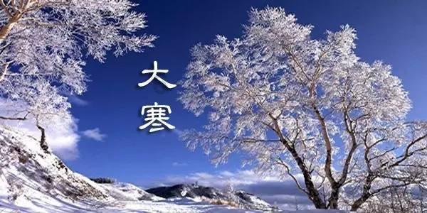 救援甜蜜熊