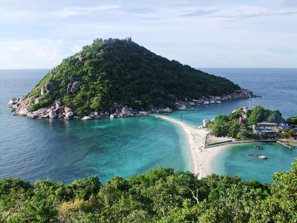 为什么会有人那么讨厌吃香菜？游戏画面