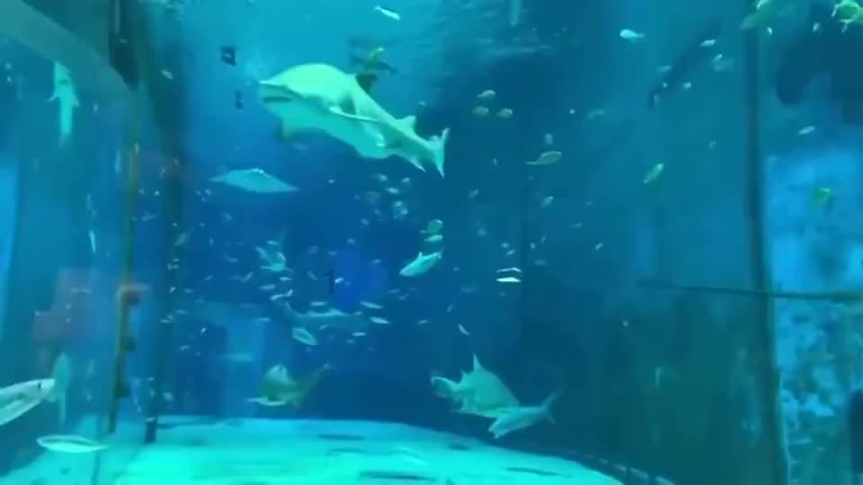 轩辕剑外传穹之扉