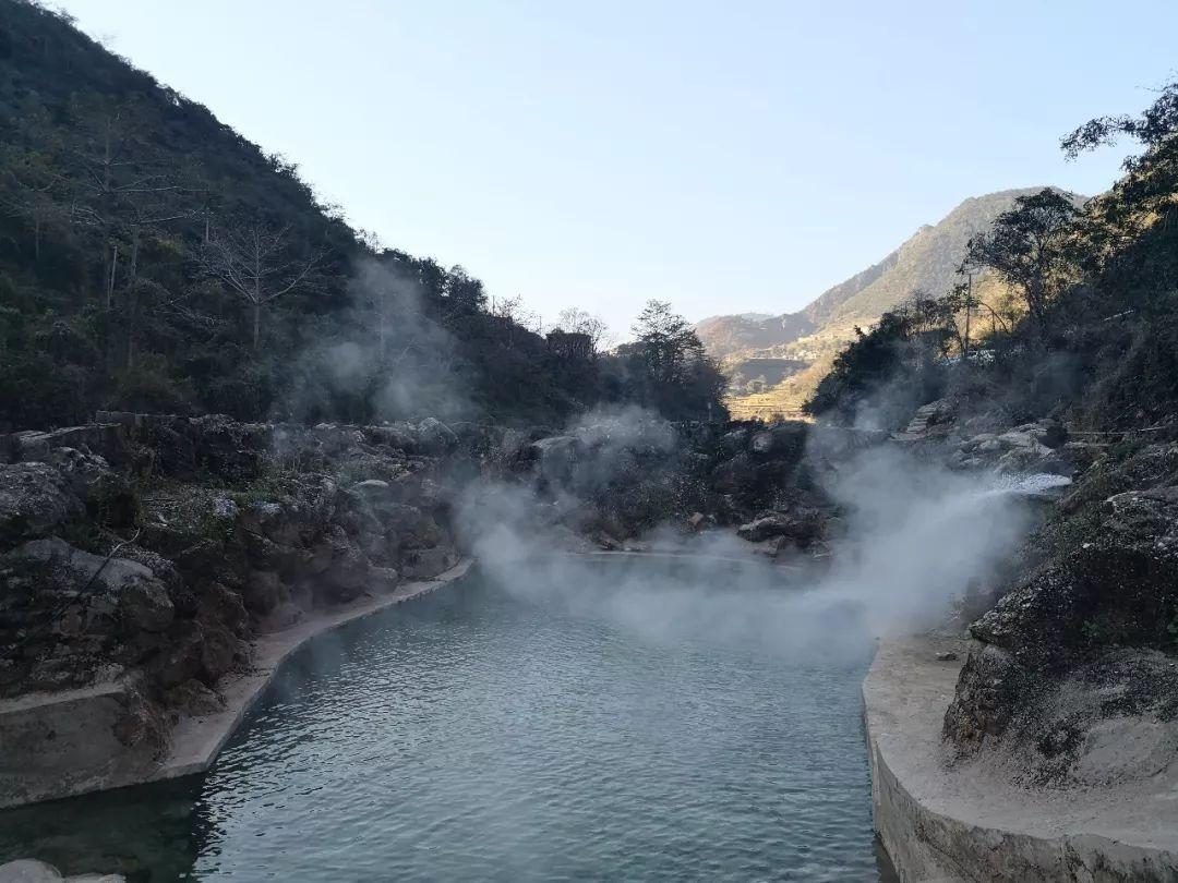 鱼汤怎么熬?牢记这四点,炖出来的鱼汤又浓又白,鲜香没腥味