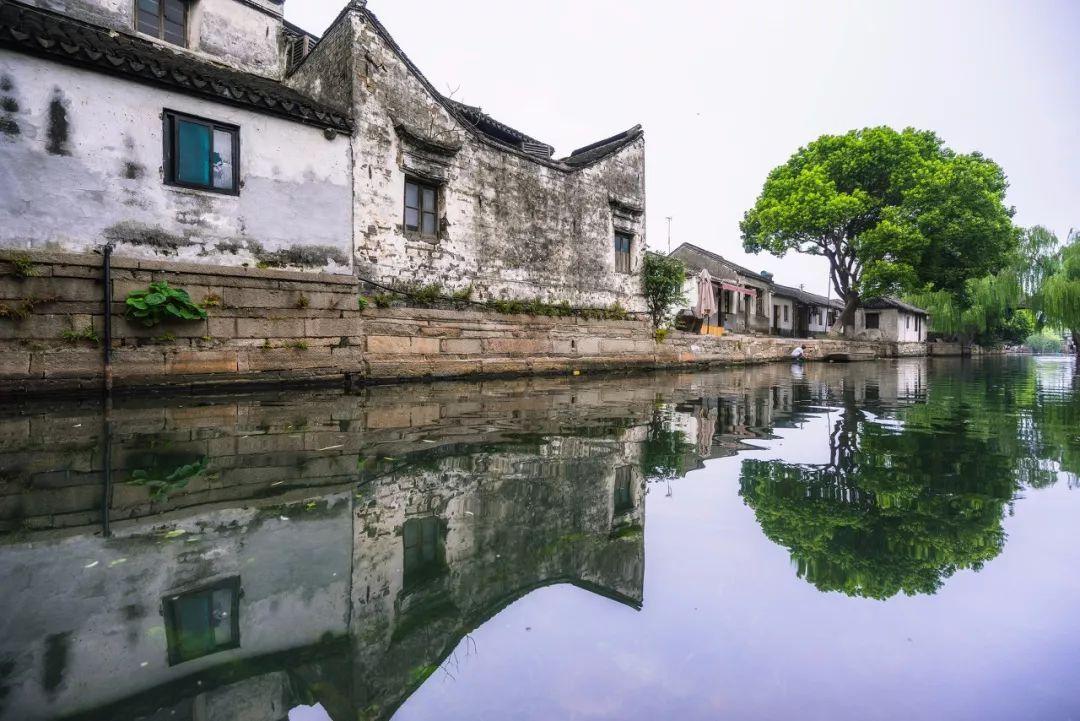 动物帮帮忙保卫家园