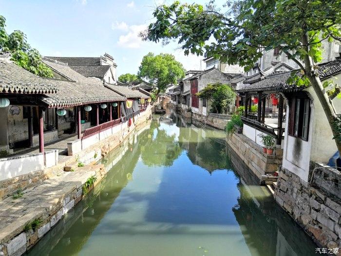 为什么会有人那么讨厌吃香菜？游戏画面